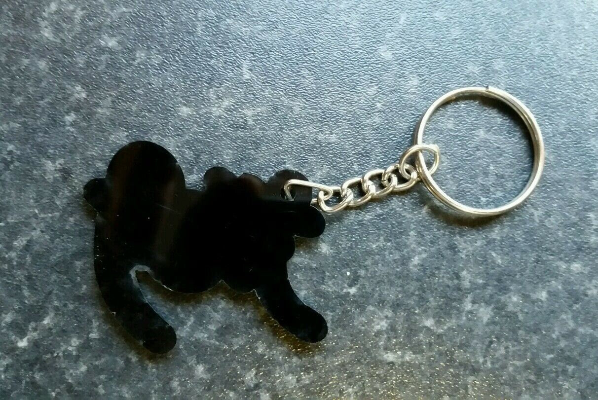 Punjabi word jatti panjabi alphabets name key ring key chain #jatti #jatt gift