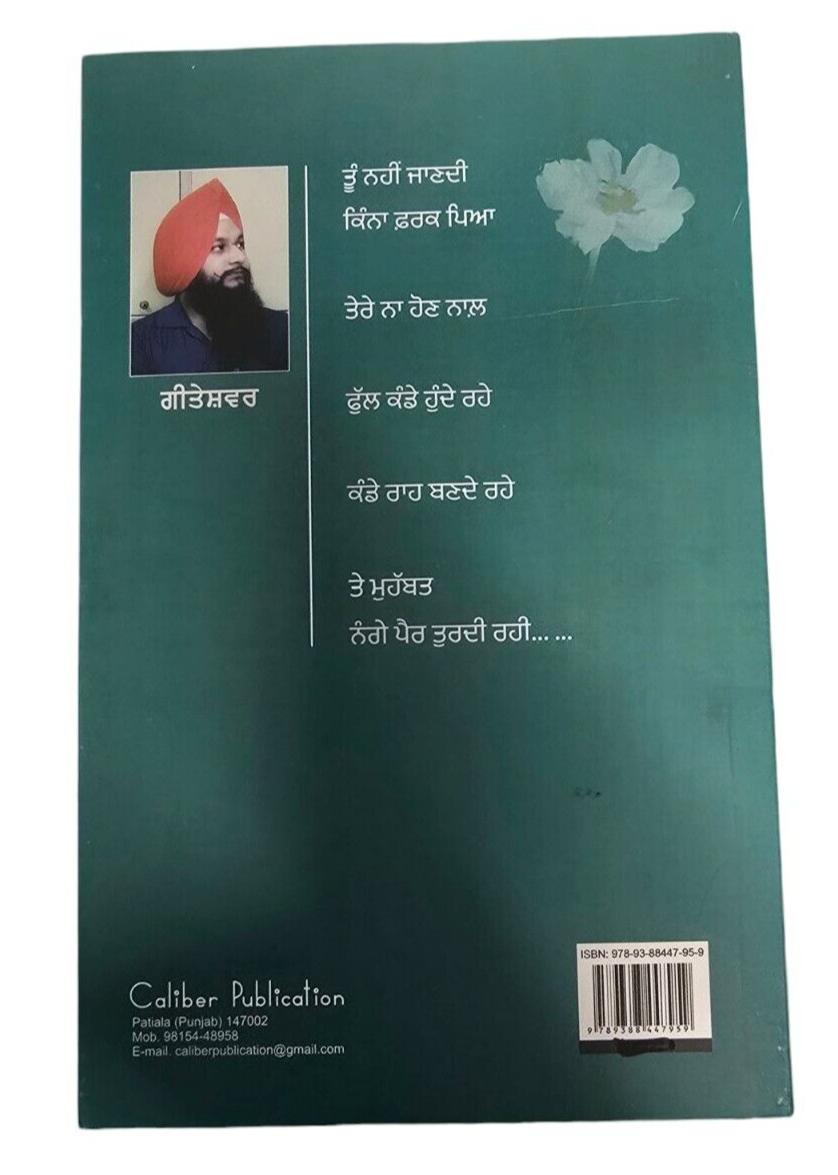 Teathon Baad Geetashwar Punjabi Poems Famous Poetry Panjabi Literature Book New