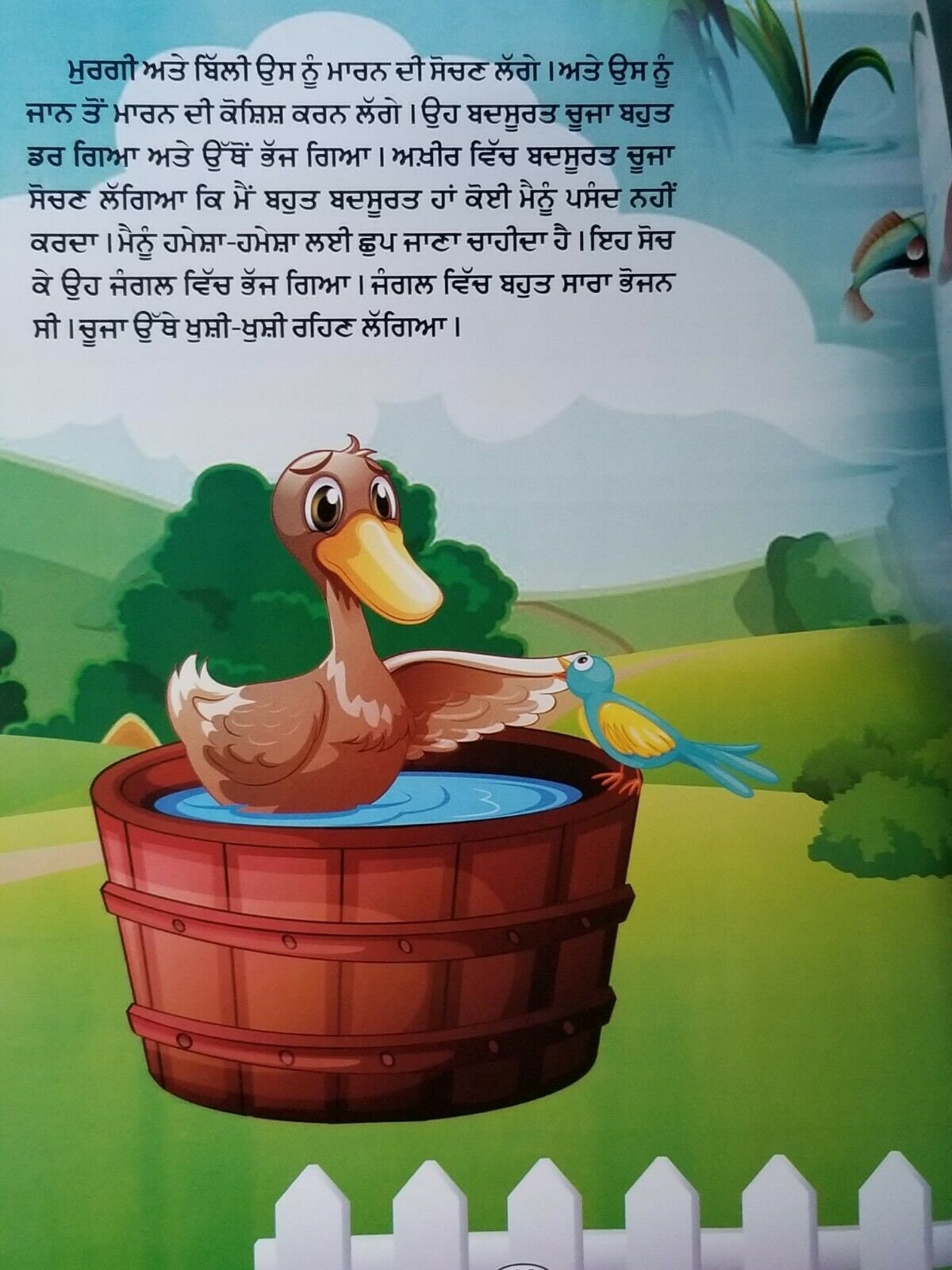 Punjabi reading kids dada dadi story book an ugly duckling panjabi learning book