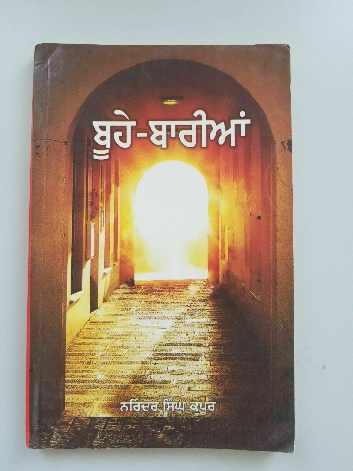 Boohay baria narinder singh kapoor punjabi gurmukhi reading literature book b3