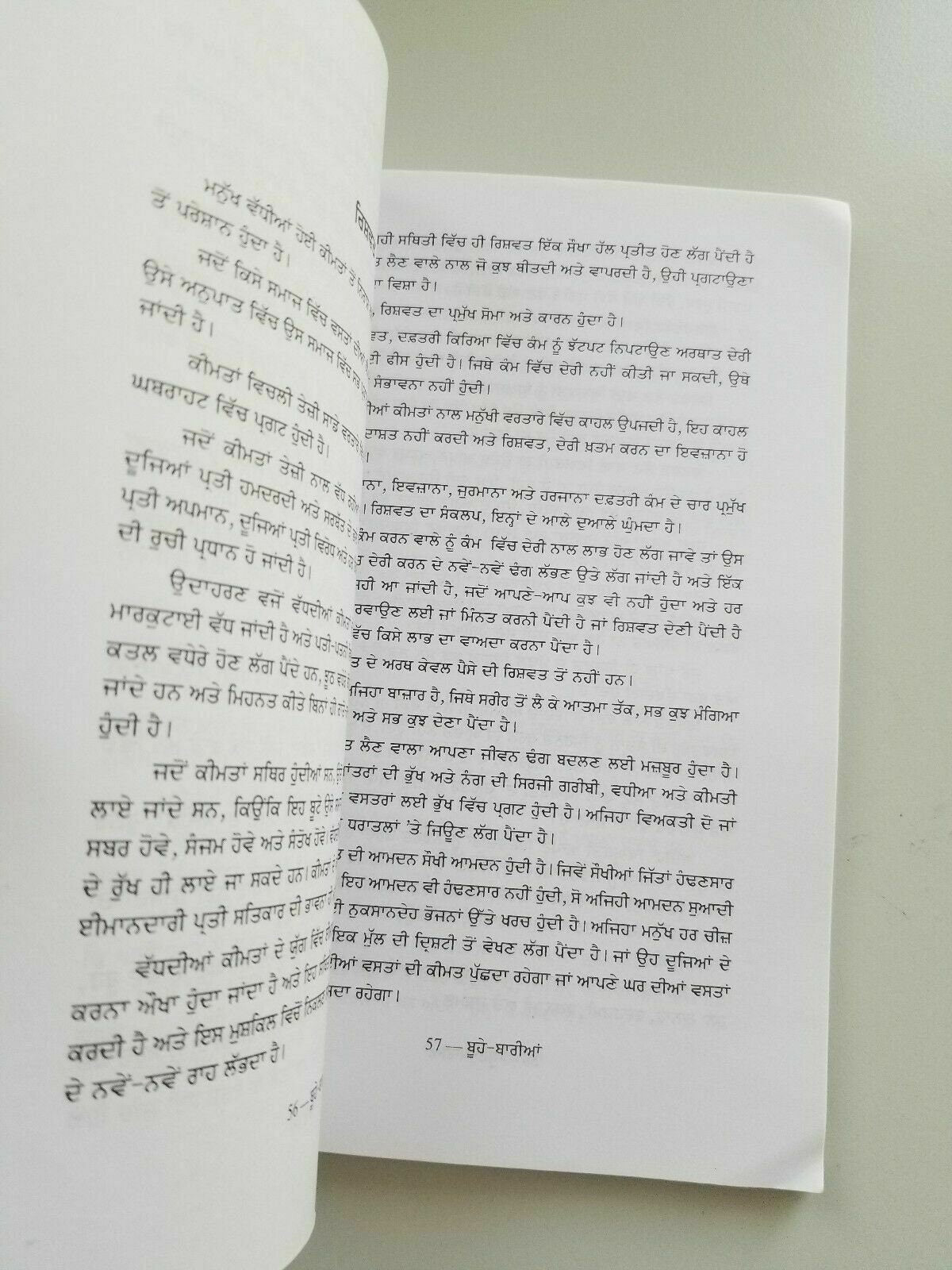 Boohay baria narinder singh kapoor punjabi gurmukhi reading literature book b3
