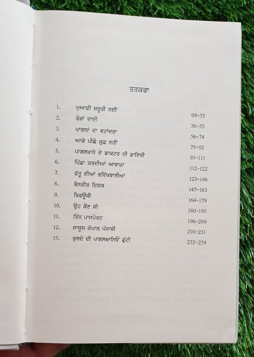 Lahore da Pagalkhana Punjabi The Unsafe Asylum India Partition History Book MO
