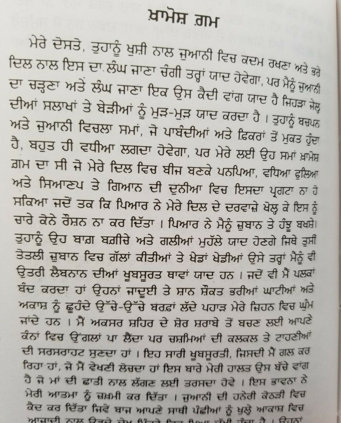 Tutte Khanbh Broken Wings Novel by Gibran Punjabi Literature Panjabi Book B42