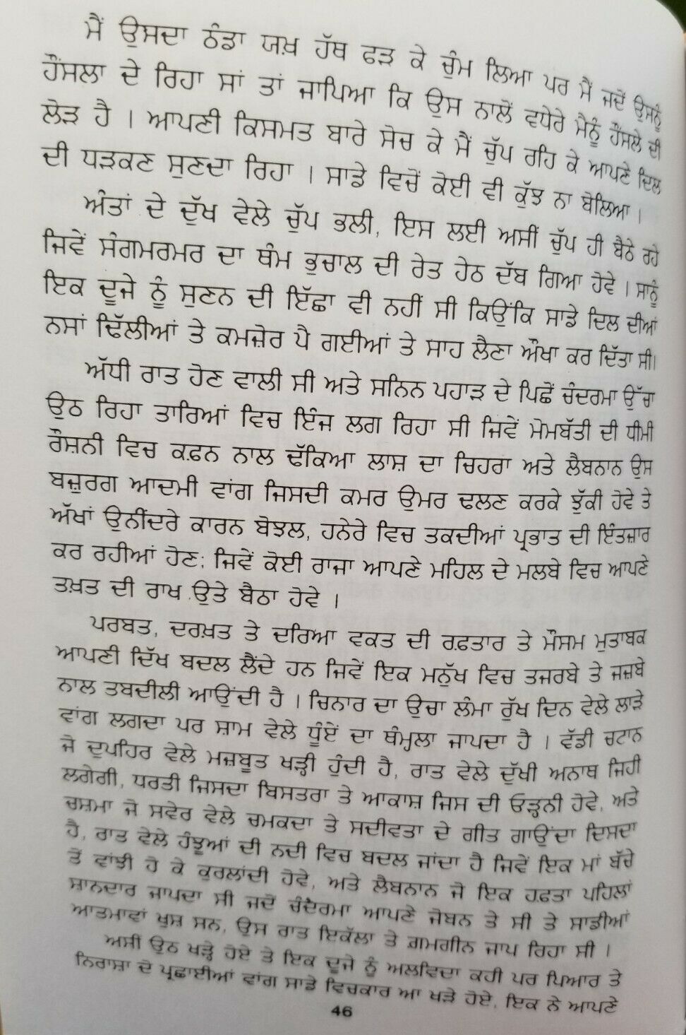 Tutte Khanbh Broken Wings Novel by Gibran Punjabi Literature Panjabi Book B42