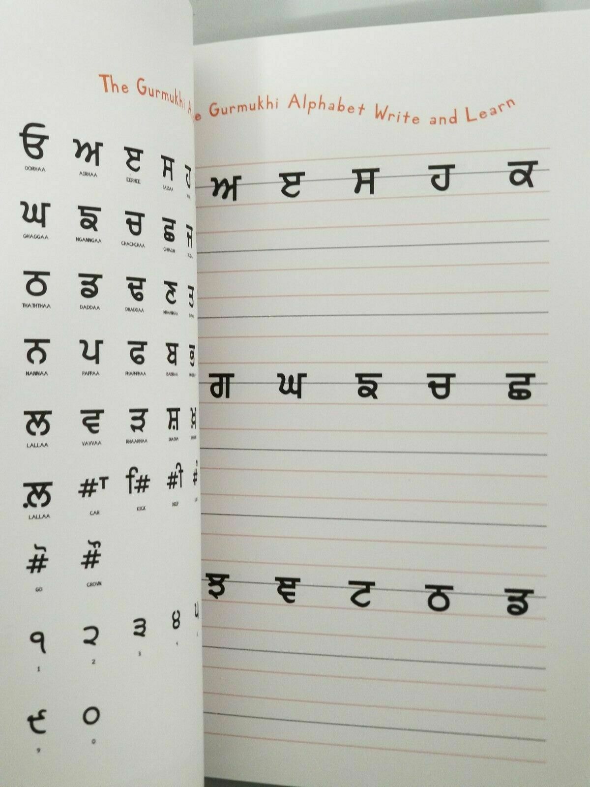 My Little Sikh Handbook for Kids Singh Kaur Lot of Activities English Book B39