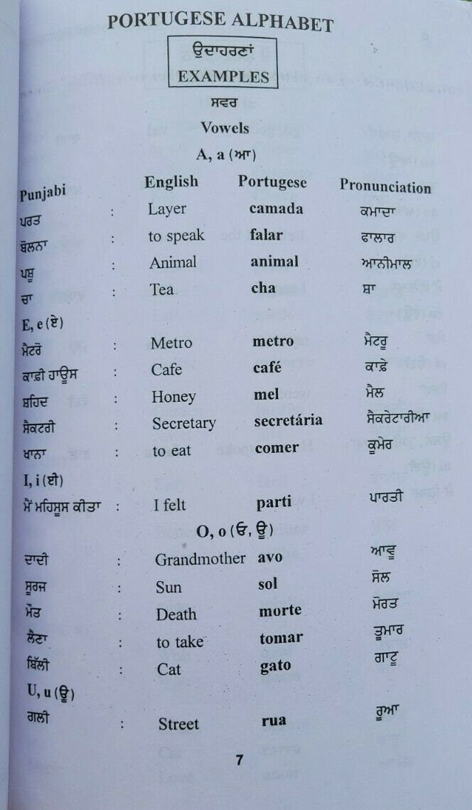 Teach Yourself Portuguese in 60 Days Punjabi English Course Book Learn easy MA