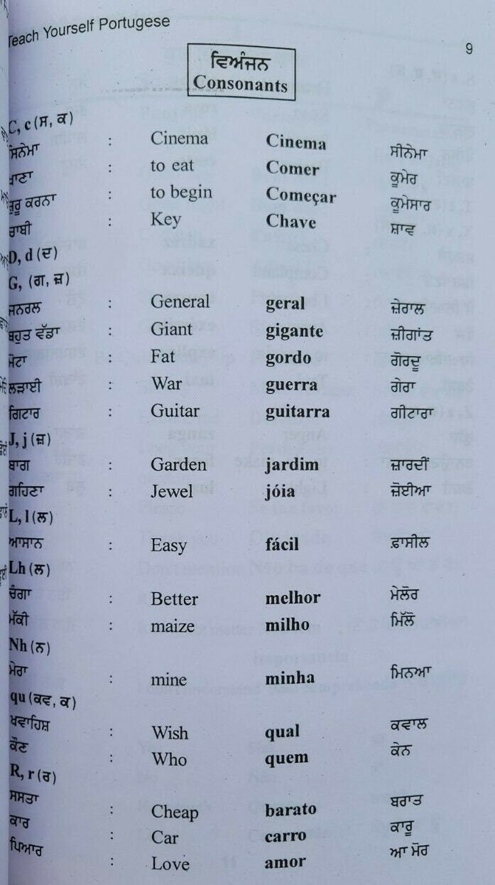 Teach Yourself Portuguese in 60 Days Punjabi English Course Book Learn easy MA