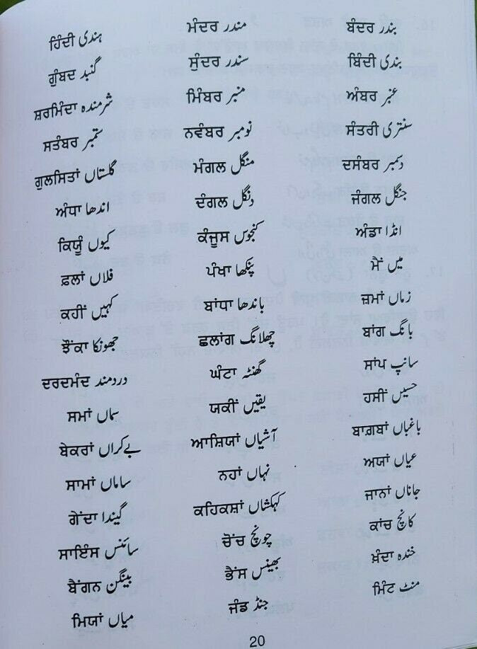Tahzeeb-e-Urdu Learn Urdu Shahmukhi Kaida Punjabi Beginners First Book Alphabet