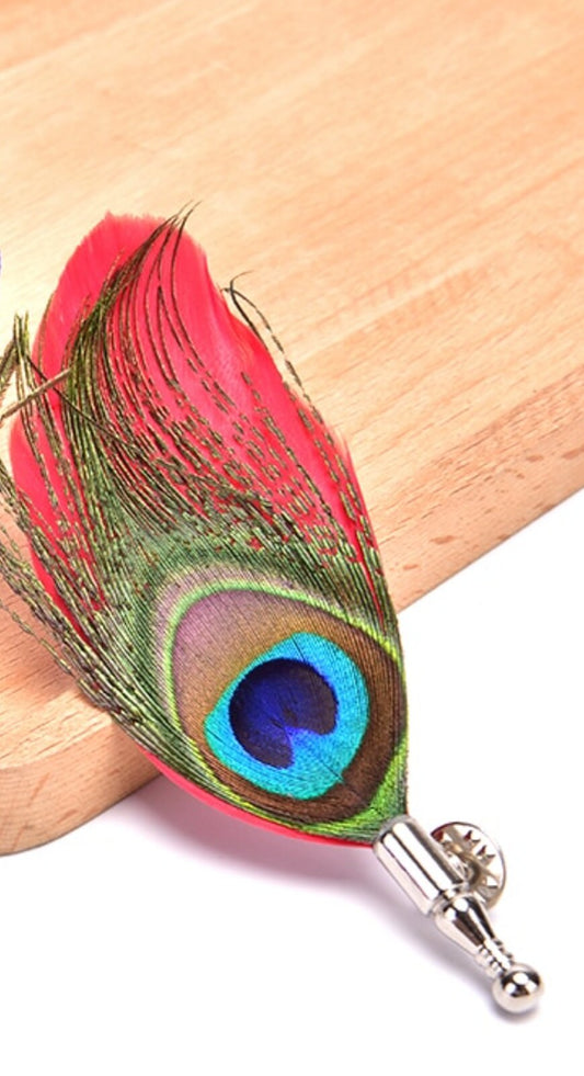 Colourful real feather brooch stunning silver plated vintage look lapel pin gg67