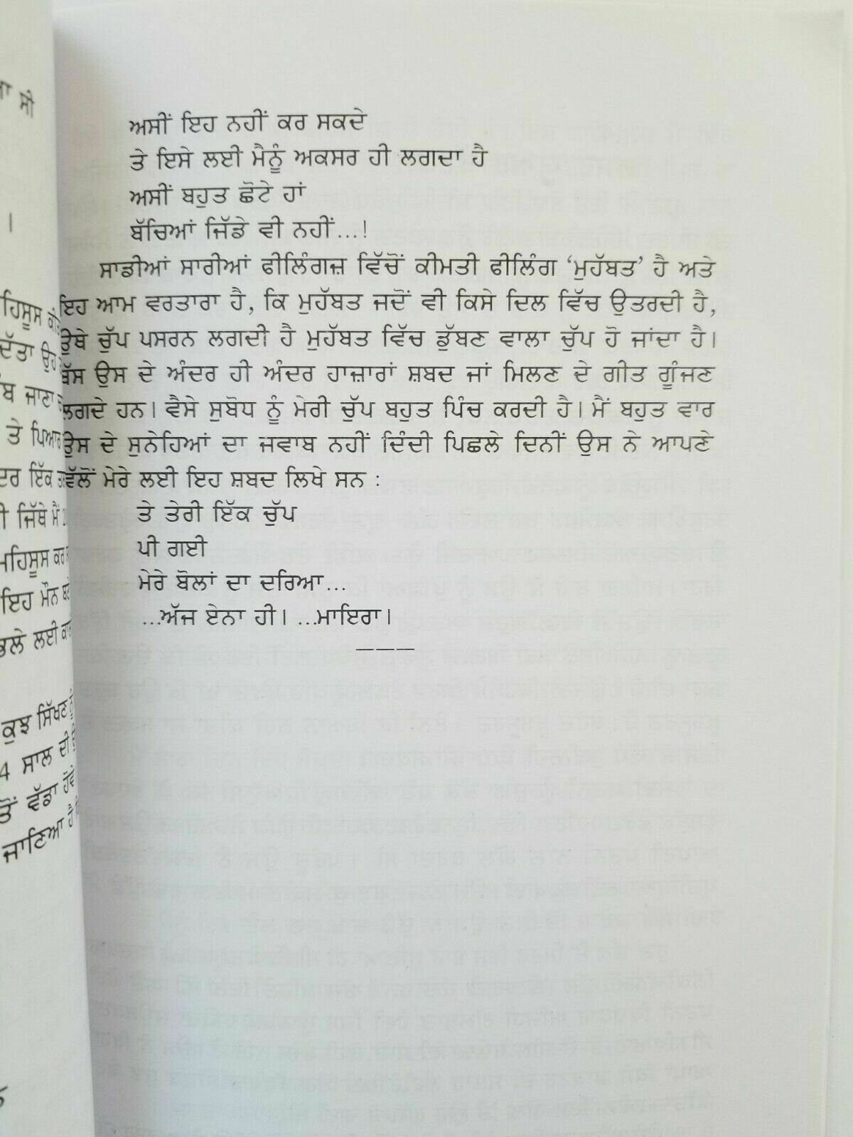 Flies Makhia Punjabi fiction novel Sukhvir Singh Soohe Akhar paperback book b38