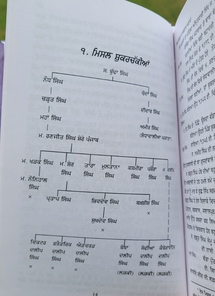 Sikh misla te sardar gharany history by sohan singh sital punjabi book panjab mh
