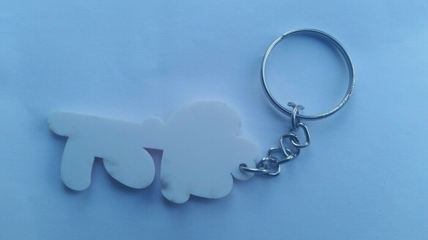 Punjabi Bains Surname Keyring Gurmukhi Family Name Key Chain Sikh Panjabi Gift UK