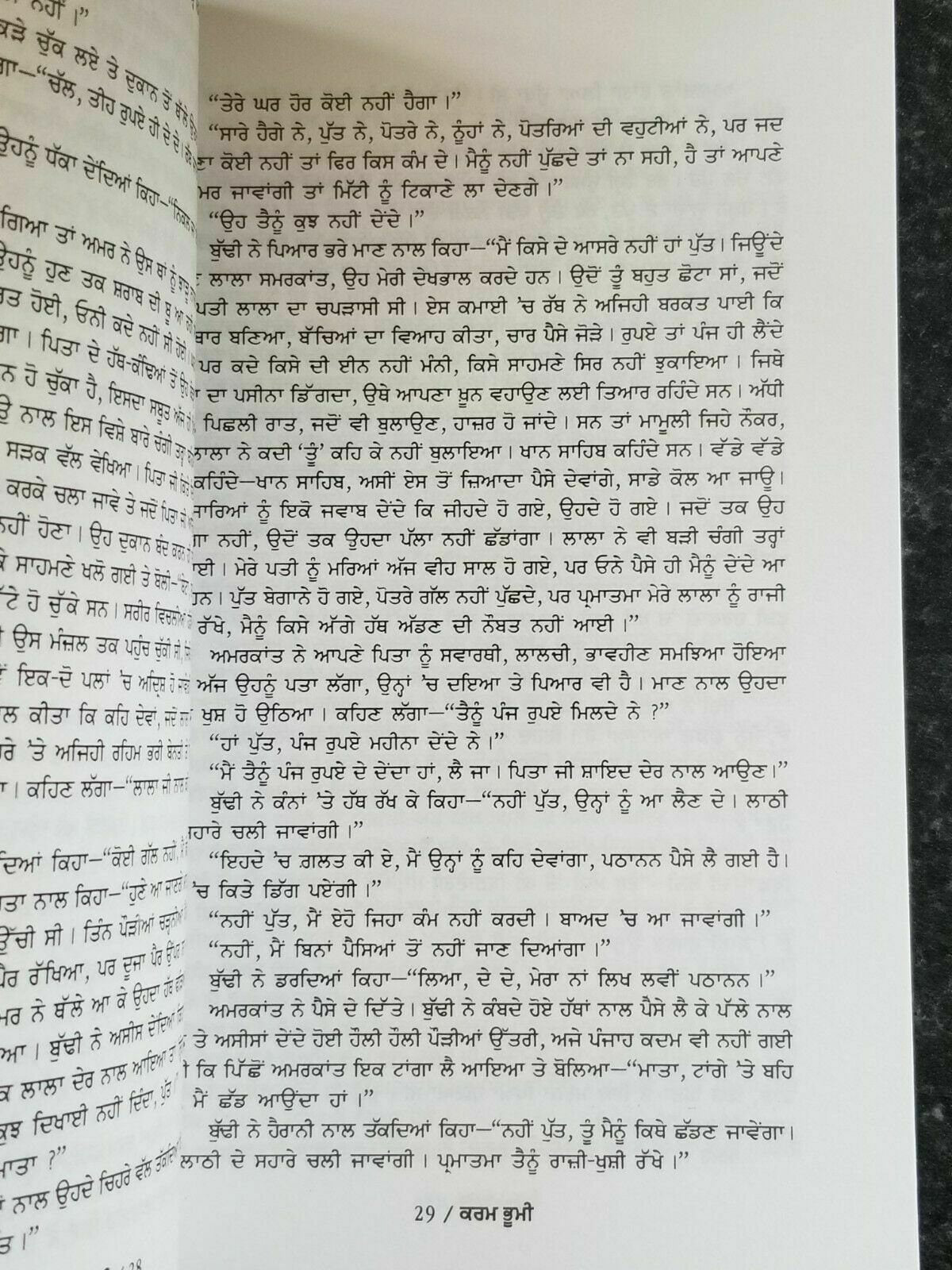 Karambhumi Novel Munshi Prem Chand Punjabi Book Gurmukhi Translation Panjabi B71
