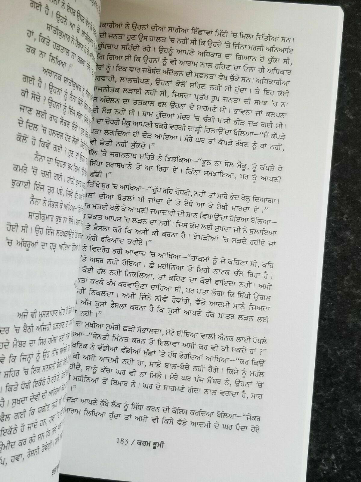 Karambhumi Novel Munshi Prem Chand Punjabi Book Gurmukhi Translation Panjabi B71
