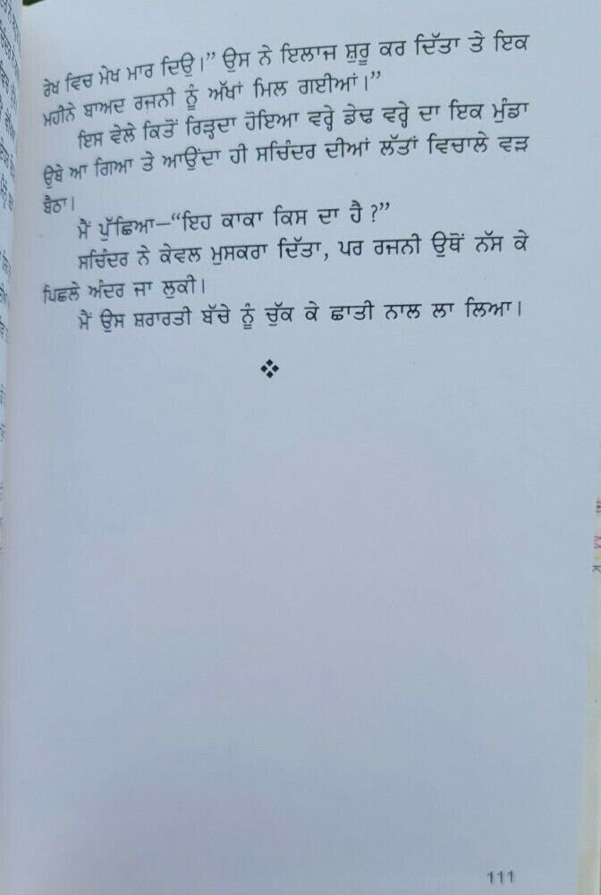 Rajni novel book translated by nanak singh punjabi reading literature panjabi ma