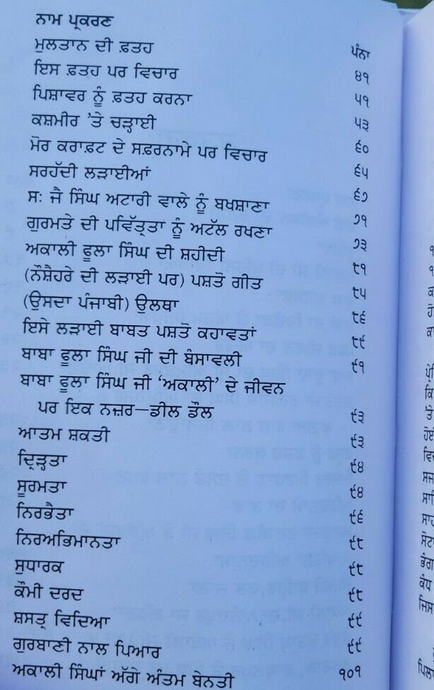 Akali phoola singh sikh book baba prem singh hoti mardaan punjabi gurmukhi mc