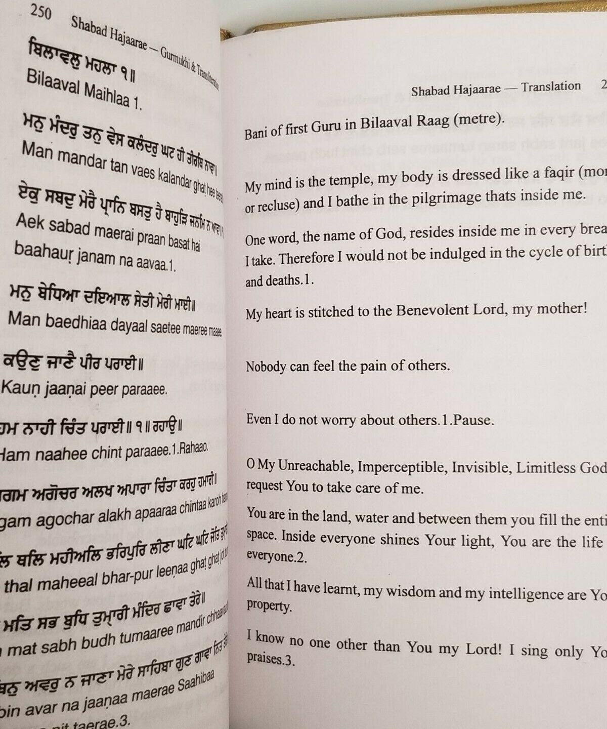 The Divine Nitnem Sikh Bani Gutka Sahib Gurmukhi Transliteration English Book mi Punjabi Prayer UK New Gift