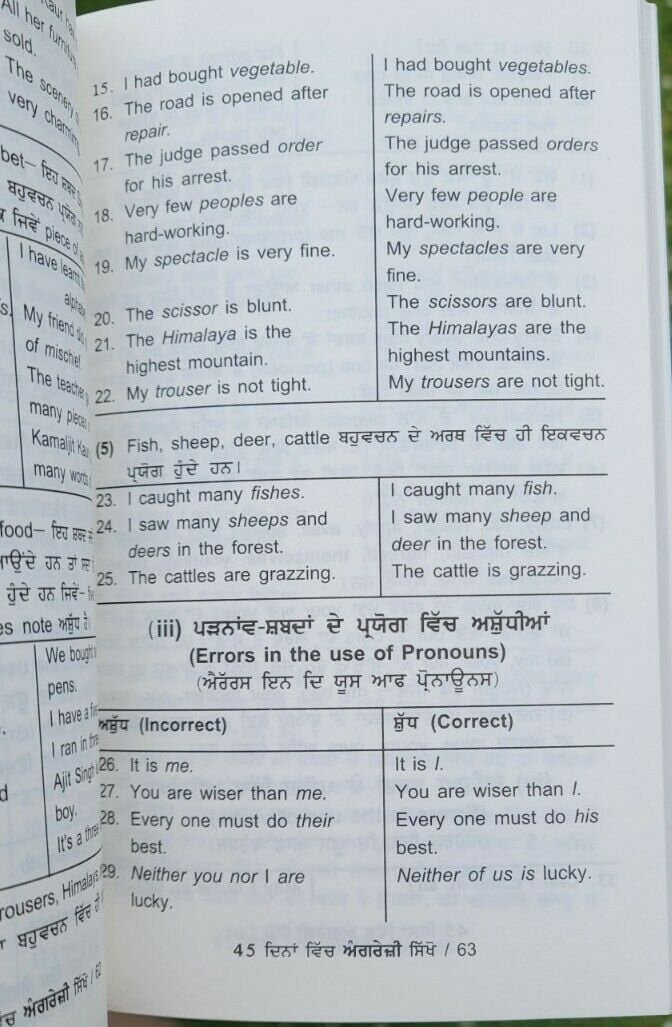 Speak Fluent English Learning Course Punjabi English 45 Days Book easy Learn MA