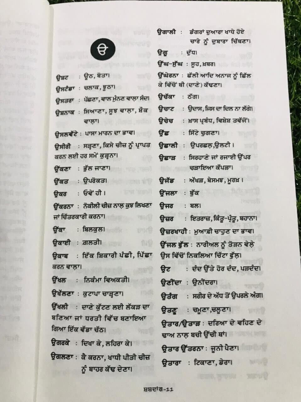 Shabadaang visar rahay punjabi shabad book jagtar singh sokhi panjabi literature