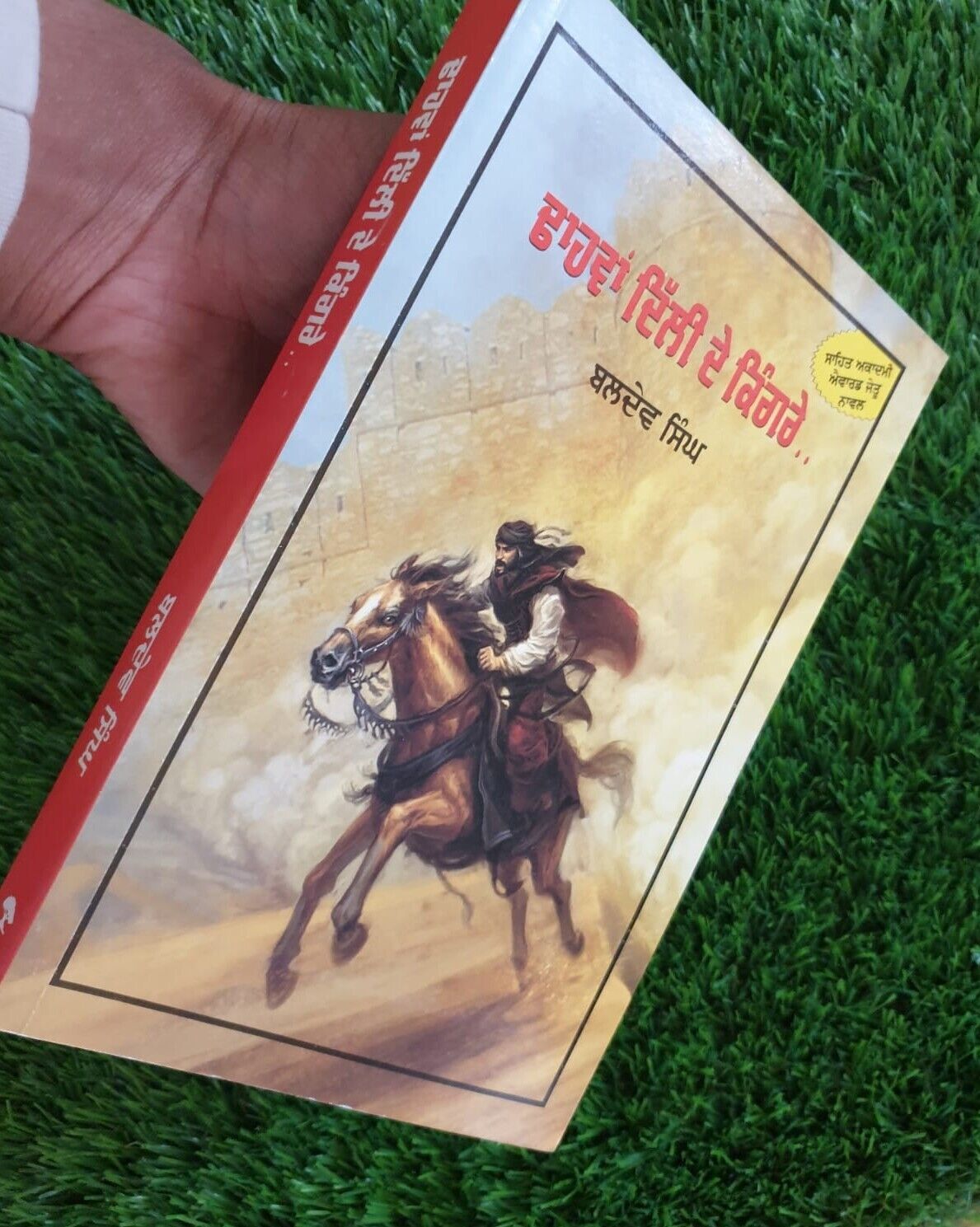 Dhaawan Dilli De Kingrey Dulla Bhatti Punjabi Novel Book Baldev Singh Sadaknama