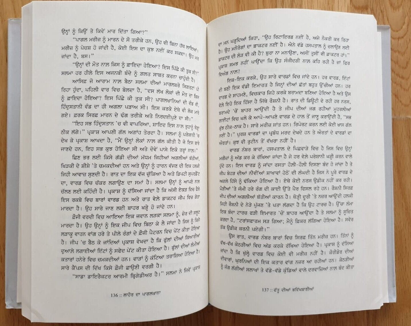 Lahore da Pagalkhana Punjabi The Unsafe Asylum India Partition History Book MO