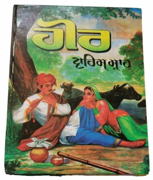 Heer Waris Shah Complete Punjabi Kissa Story Gurmukhi Literature Reading Book B21MD Panjabi
