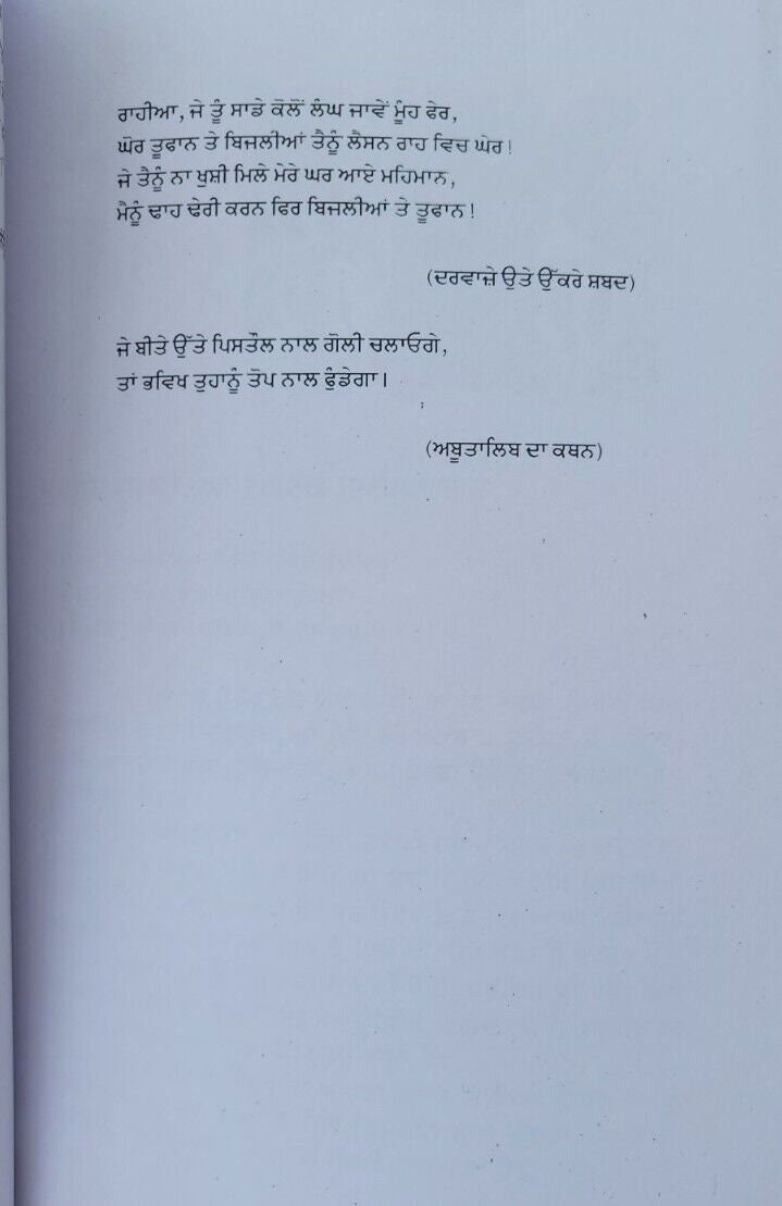 Mera Dagestan Part 1 Punjabi Gurmukhi Book Rasul Gamzatov Literature Panjabi MB