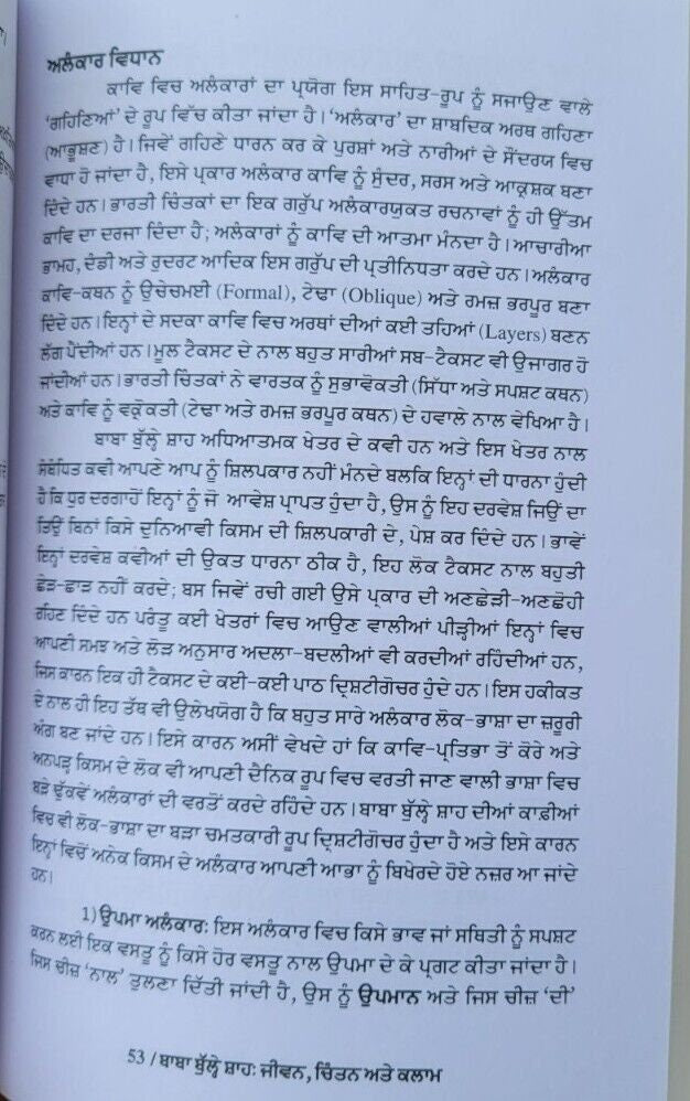 Baba bulleh shah jeevan chintan attay kalam life analysis punjabi literature b59