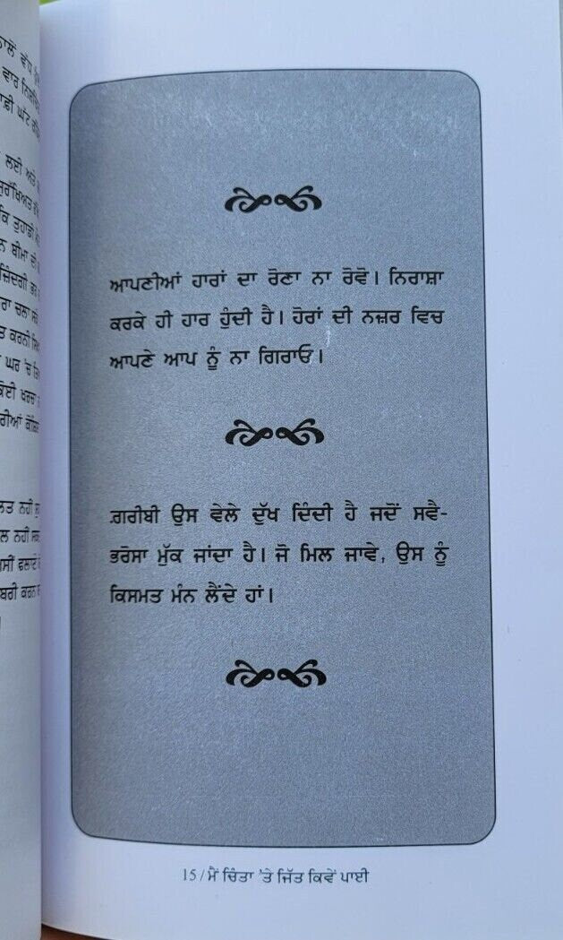 Mein chinta te jitt kiven paaey dale carnegie self improvement book punjabi b65