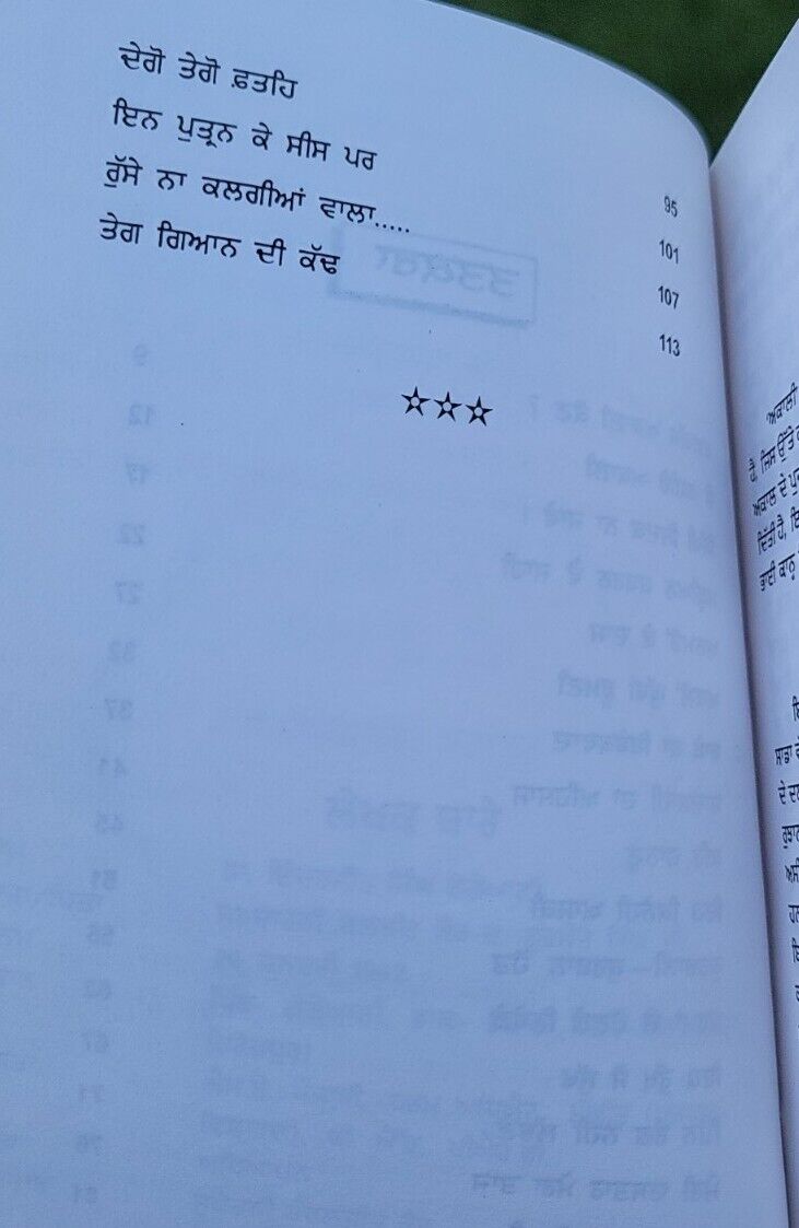 Gargaj Akali Gajya Sikh Book Dr Inderjit Singh Punjabi Story Literature Book B20