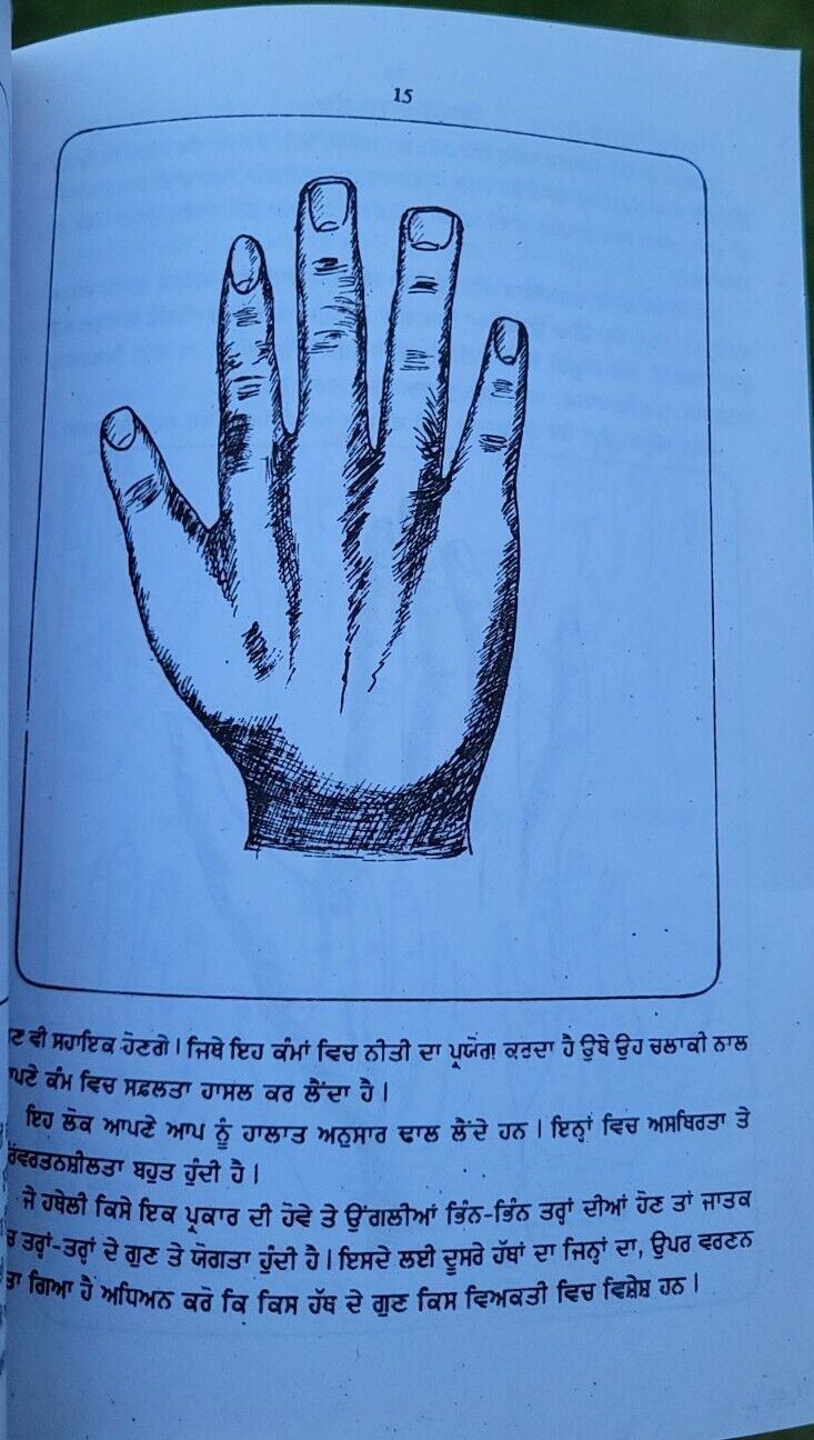 Palmistry Reading Hands Hast Rekha Shashtar Gautam Rishi Antique Punjabi Book MC