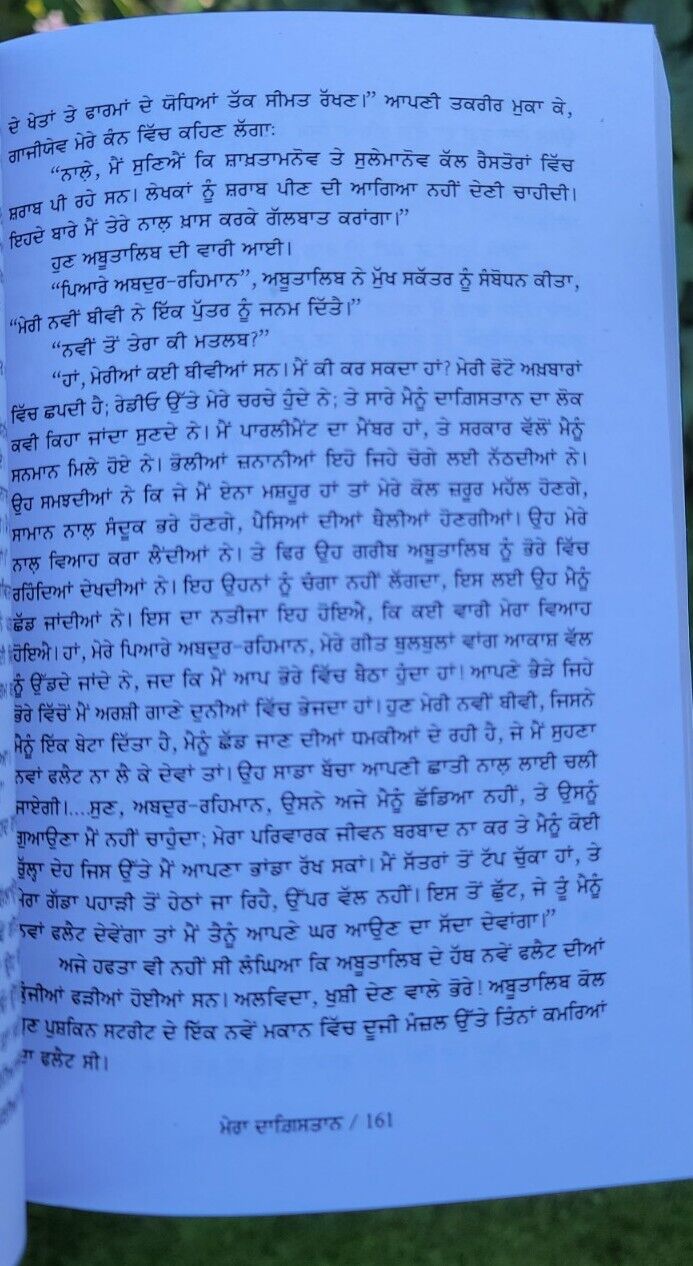 Mera Dagestan Punjabi Gurmukhi Book Rasool Gamzatov My Dagestan Literature MD