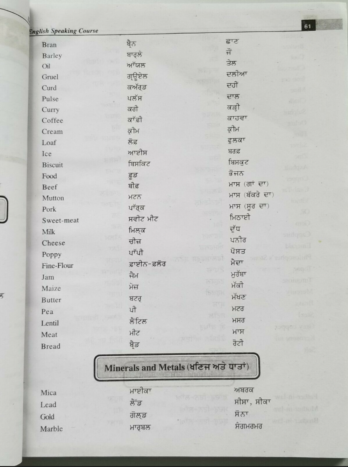 Elegant English Speaking Course Punjabi to English 35 Days Book Easy Learning MO