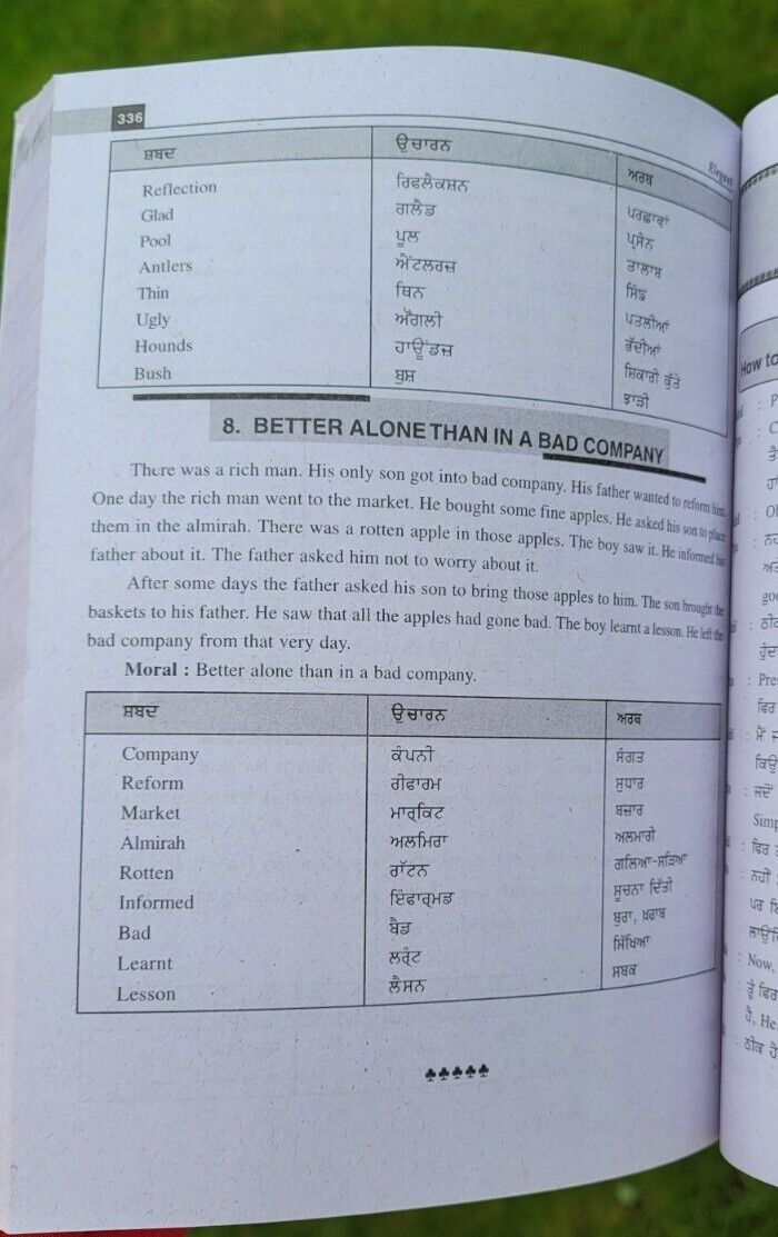Elegant English Speaking Course Punjabi to English 35 Days Book Easy Learning MO