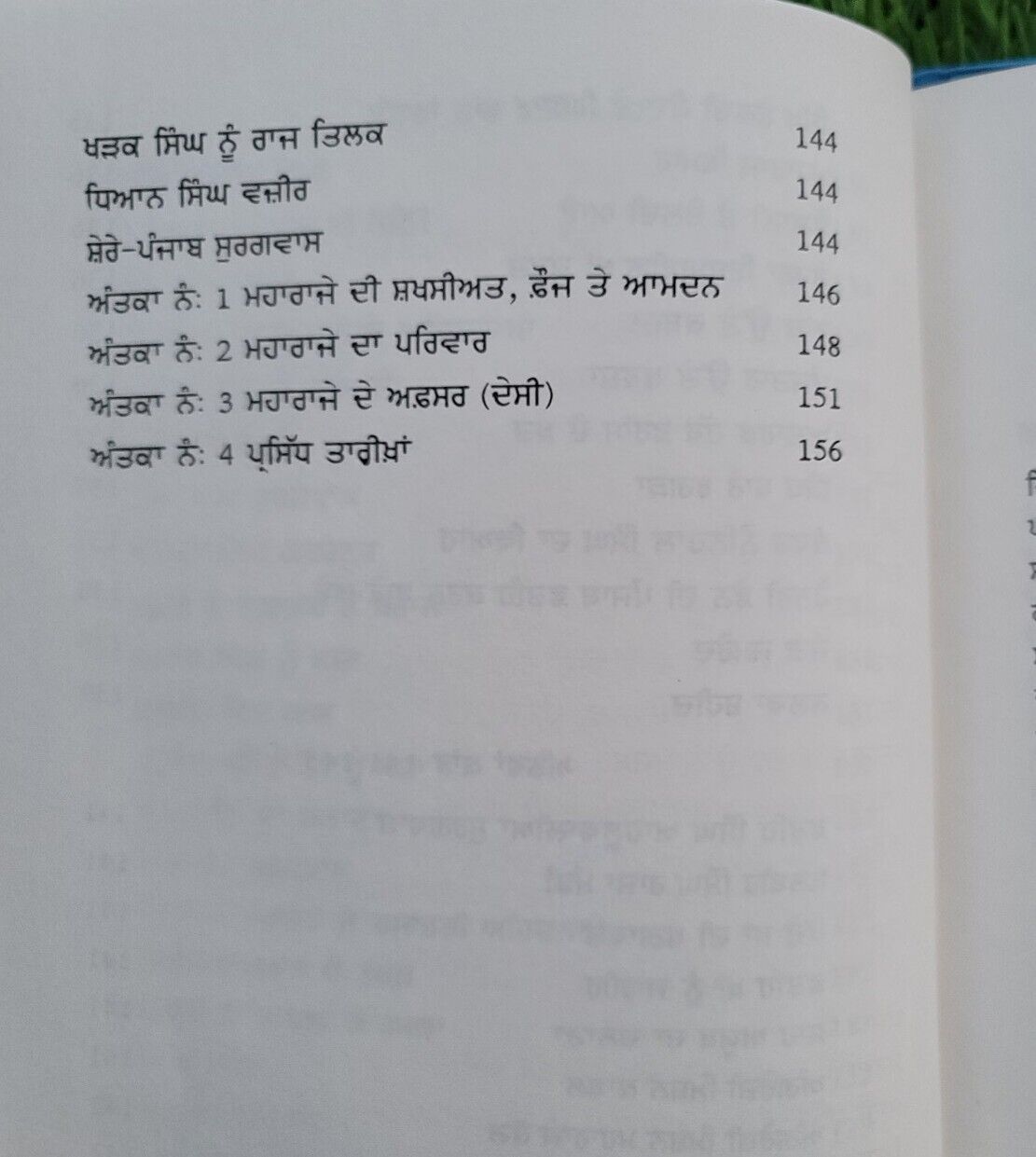 Sikh Raj Te Shere Punjab Sohan Singh Sital Punjabi Gurmukhi Sikh History Book MP