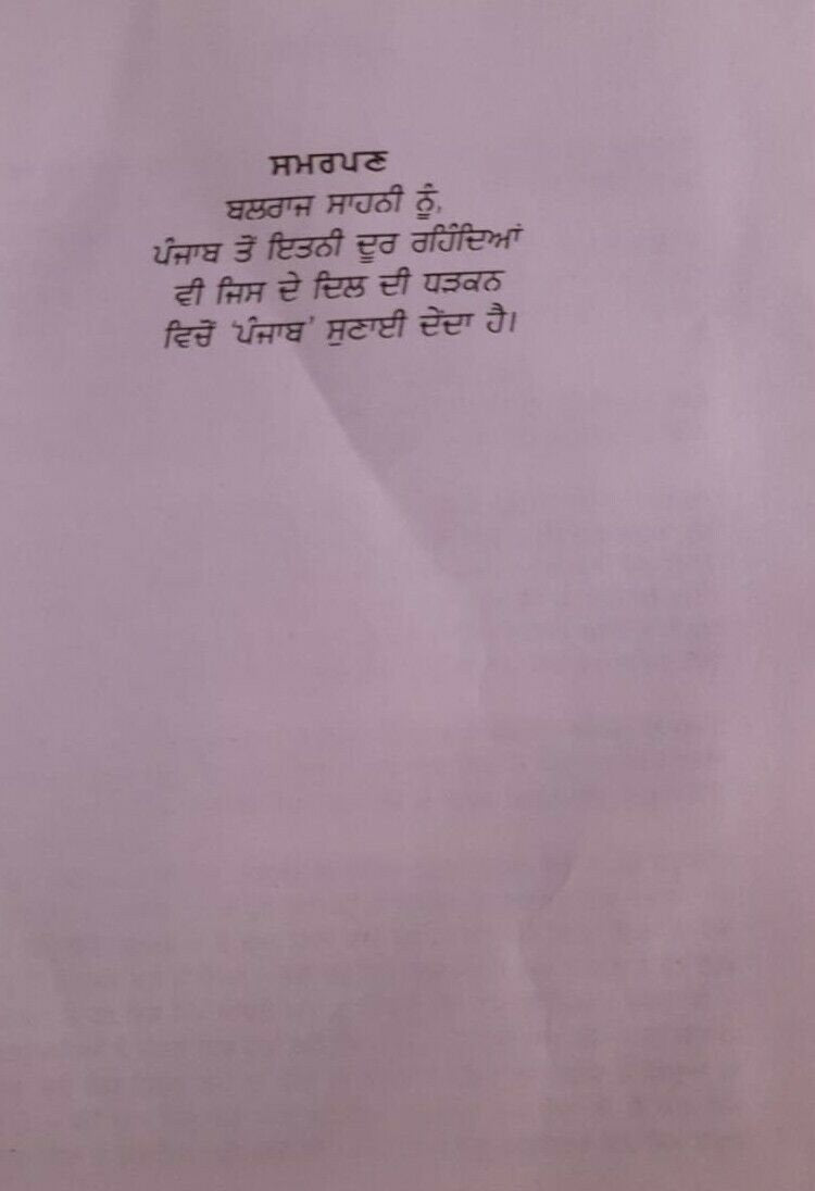 Pujari novel by nanak singh punjabi reading literature new panjabi book b44 gift