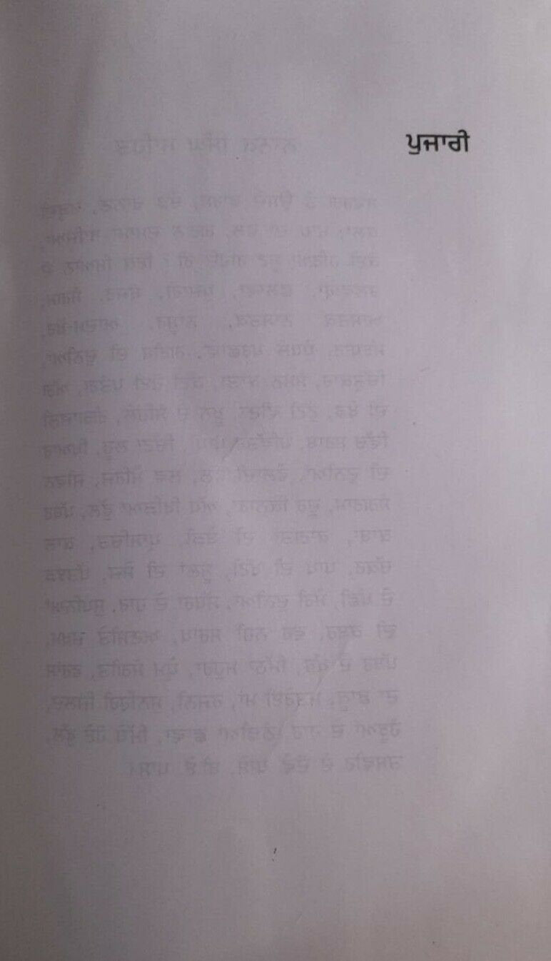 Pujari novel by nanak singh punjabi reading literature new panjabi book b44 gift
