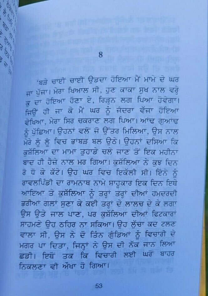 Kal chakar novel by nanak singh punjabi reading literature new panjabi book b31