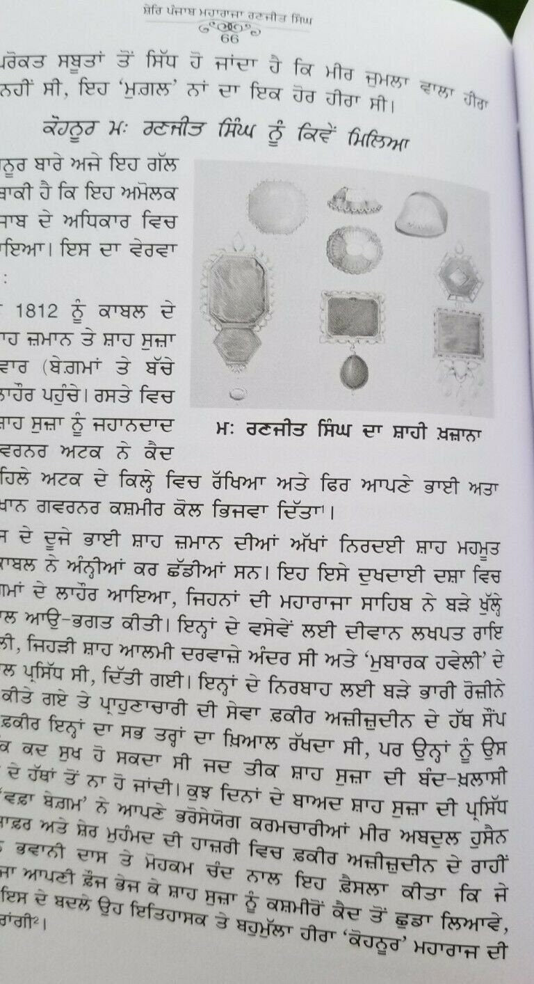 Shere Punjab Maharaja Ranjit Singh Punjabi Book Baba Prem Singh Sikh Panjabi MC Gurmukhi