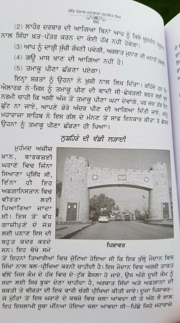Shere Punjab Maharaja Ranjit Singh Punjabi Book Baba Prem Singh Sikh Panjabi MC Gurmukhi
