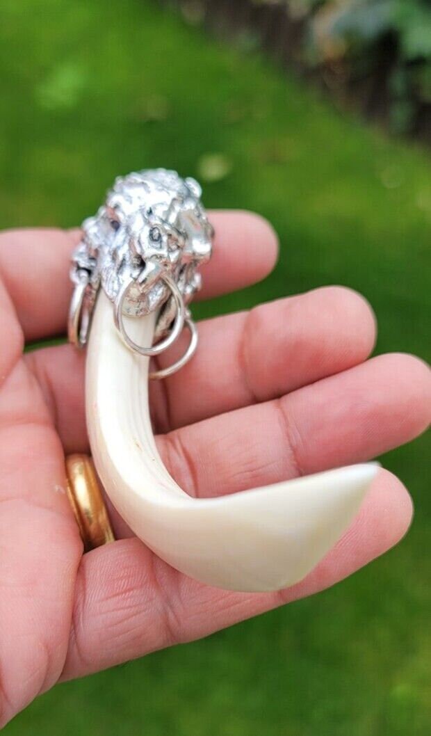Sikh Jangli Soor Tooth Pendant Nihang Shikaar Dand Nazar Authentic Evil Eye Gift