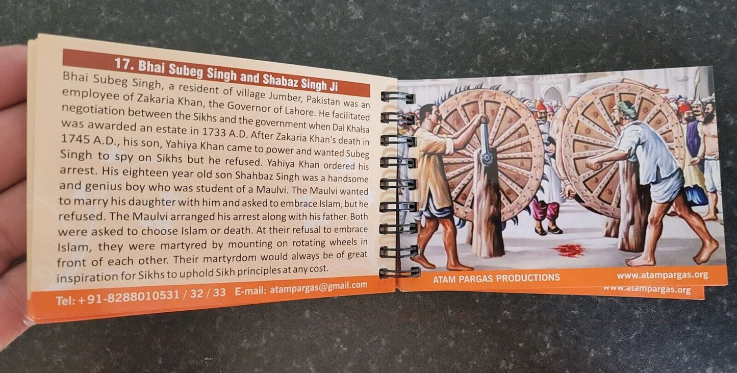Sikh History Cards Part 2 for Kids Learn Sikhism Book Colour photos English MA