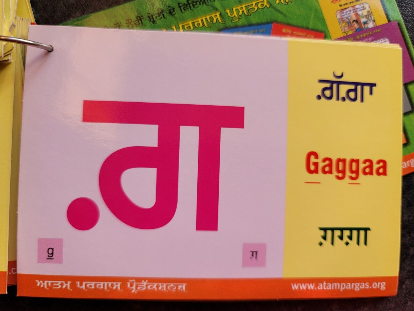 Punjabi Gurmukhi Alphabet Card Part 2 Kids Learn Book Colour photos English MA