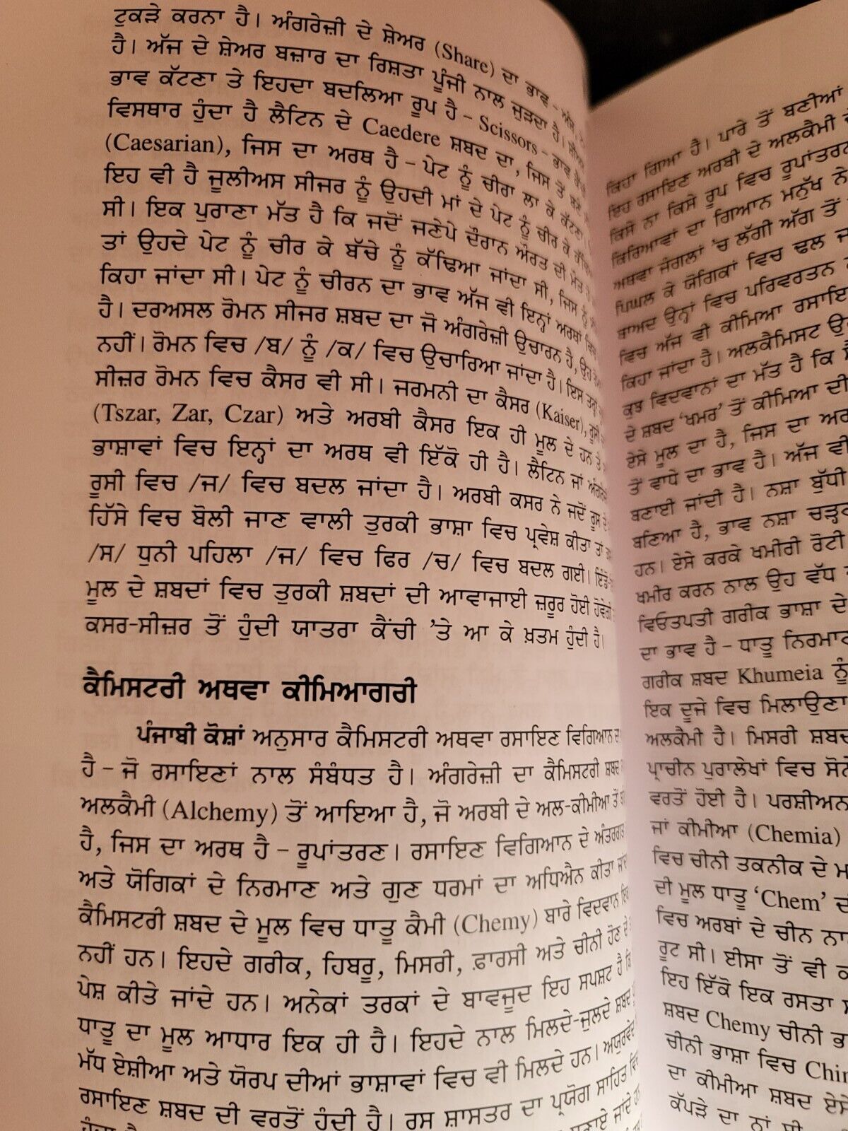 Shabdo Vanjario Punjabi Shabad Book Dr. Paramjit Singh Dhingra Panjabi New MK