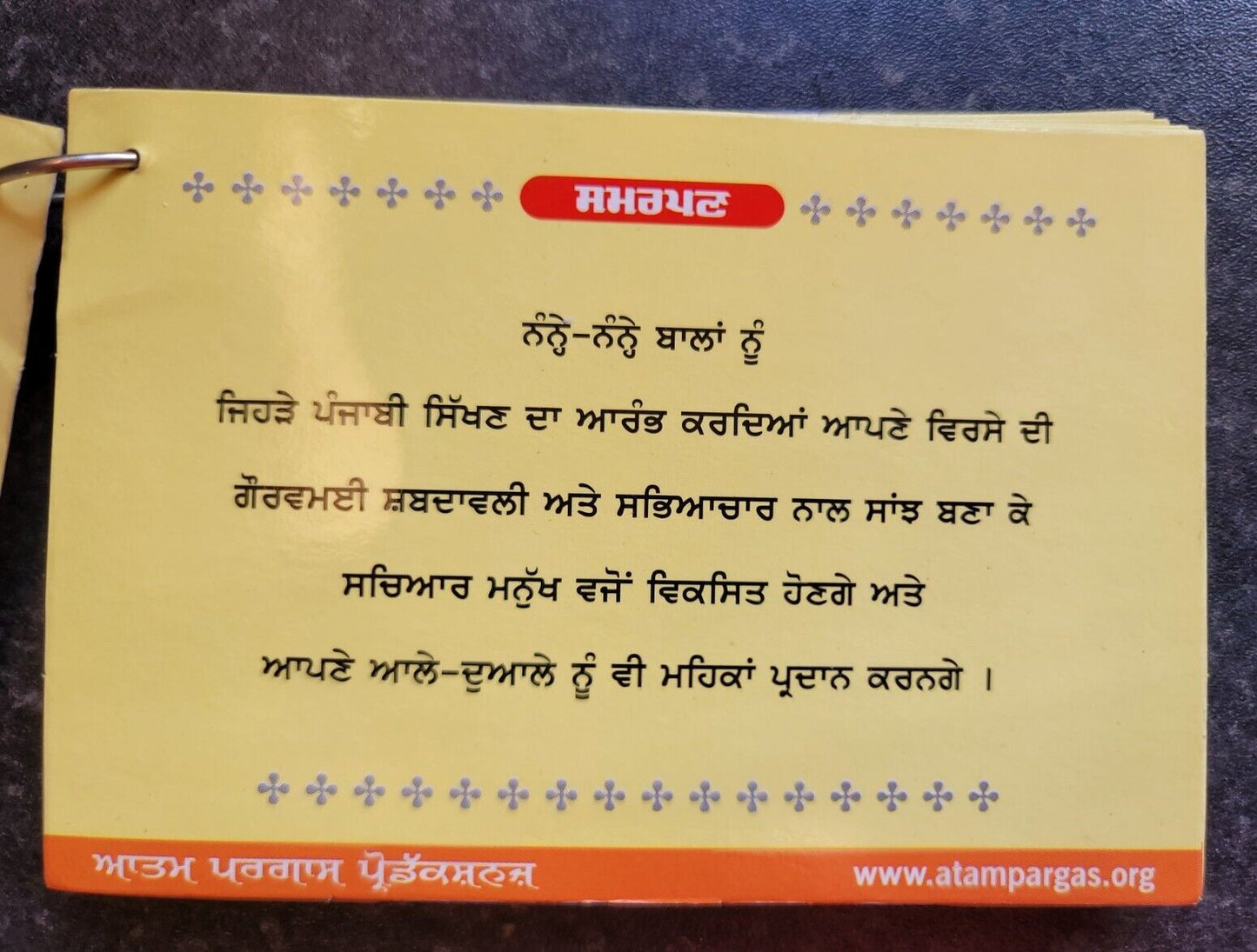 Punjabi Gurmukhi Alphabet Card Part 1 Kids Learn Book Colour photos English MA