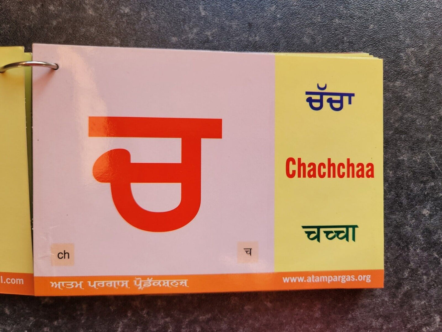 Punjabi Gurmukhi Alphabet Card Part 1 Kids Learn Book Colour photos English MA
