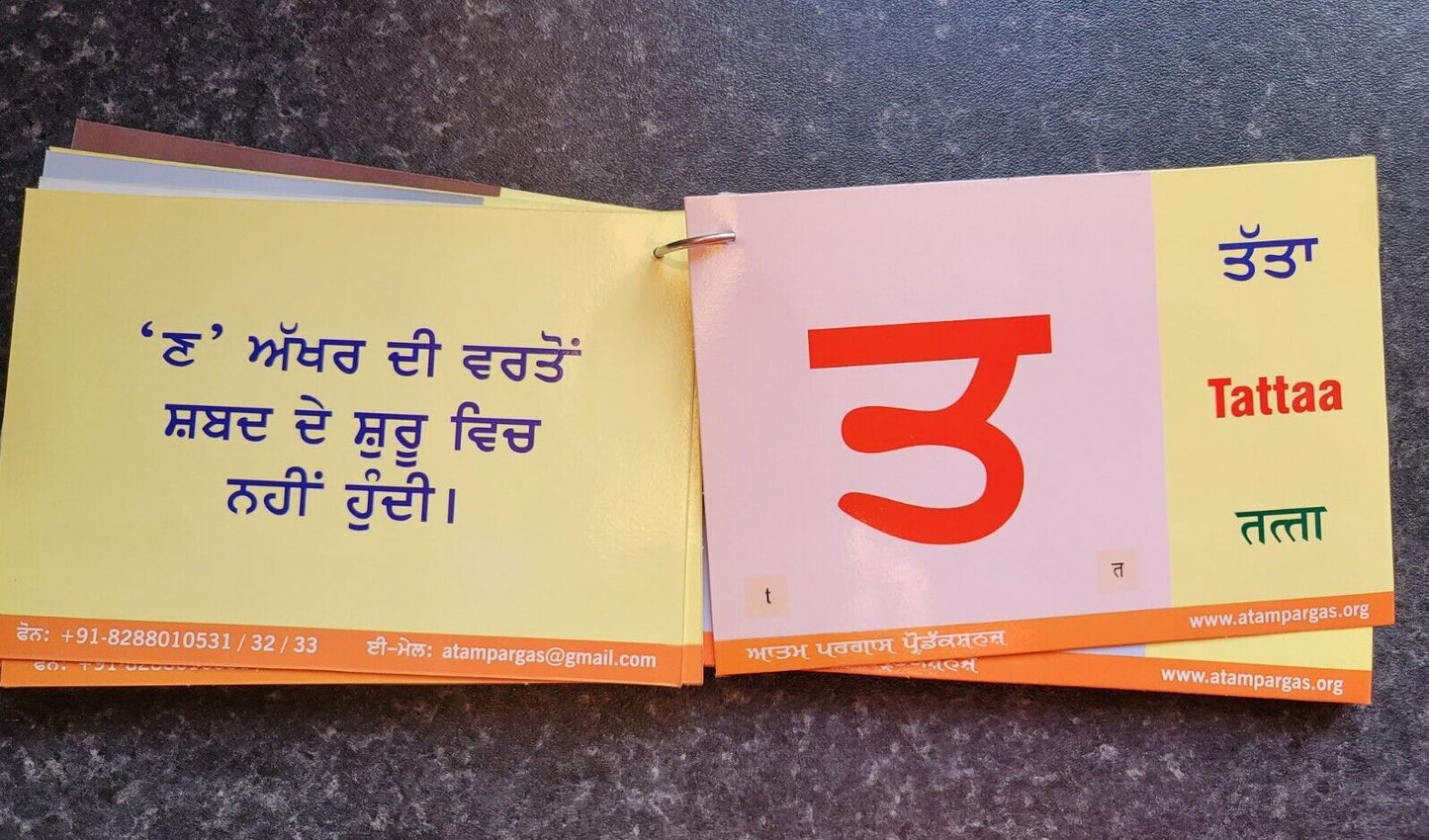 Punjabi Gurmukhi Alphabet Card Part 1 Kids Learn Book Colour photos English MA