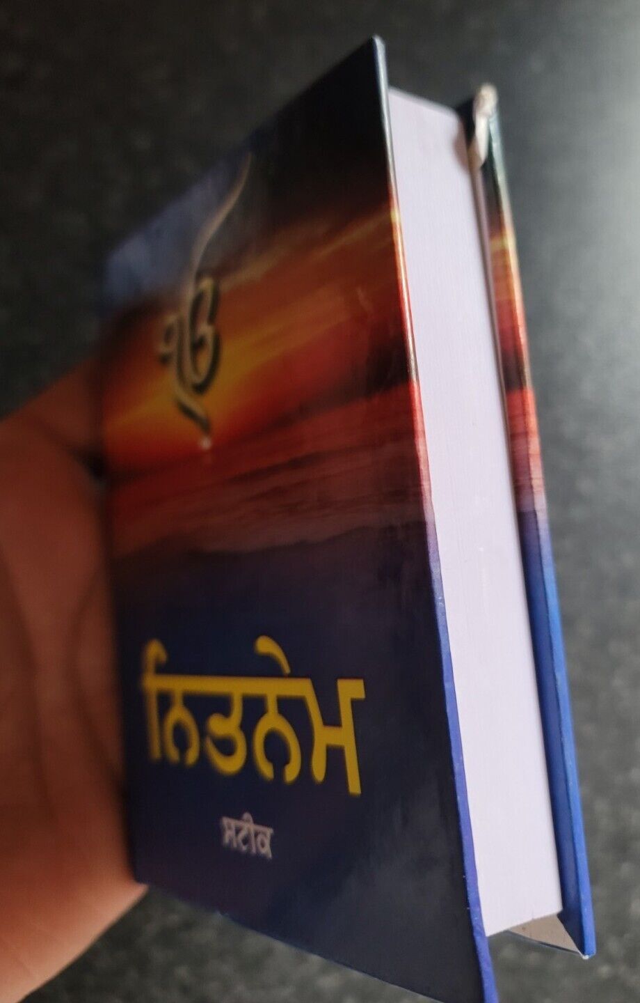 Sikh Nitnem Steek Japji Jaap Anand Rehras Gutka Sahib Punjabi Gurbani Book VVV24