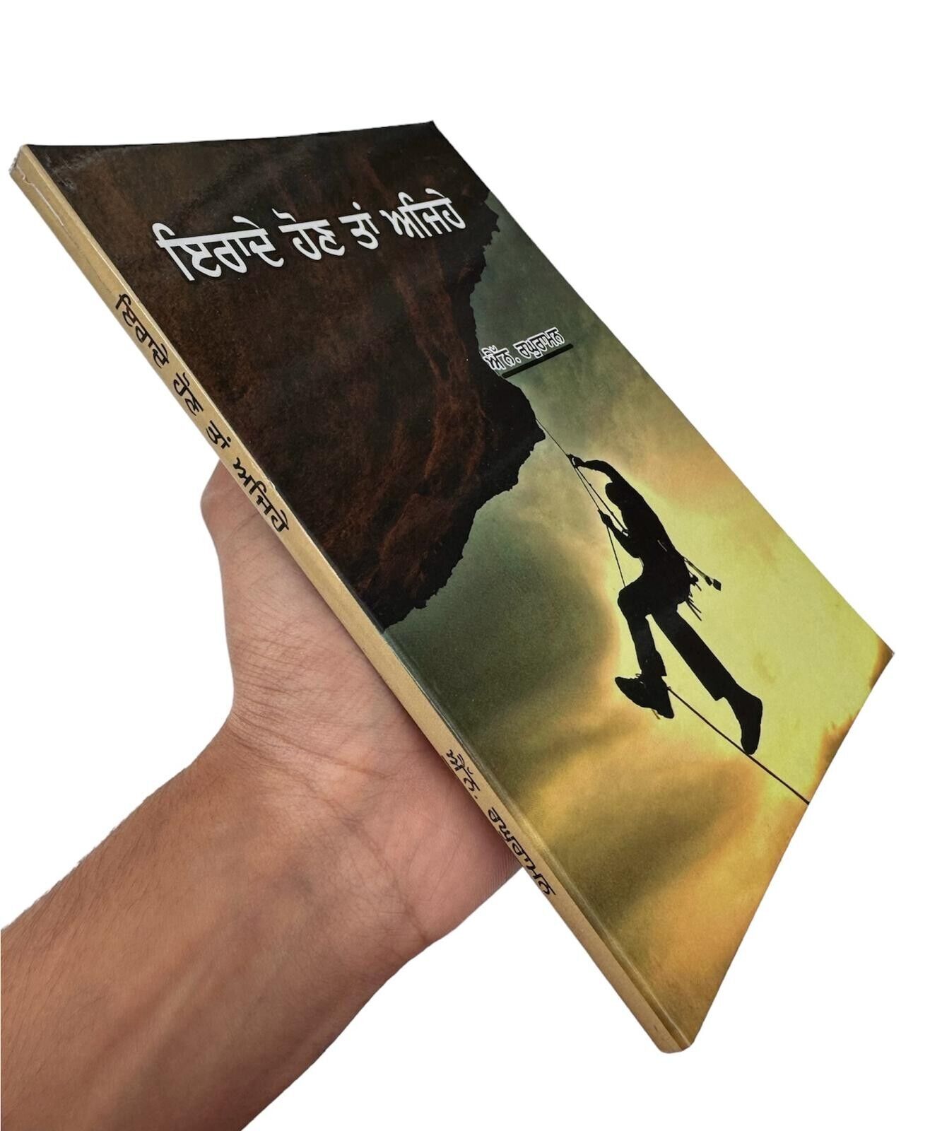 Irrade Hon Tan Ajehey N Raghuraman Strong Will Power Punjabi Book Motivation New
