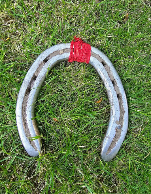 Kala Ghode di Naal Black Horse Shoe Iron Hindu Lucky Shani Dev Evil Eye Shield OJ1